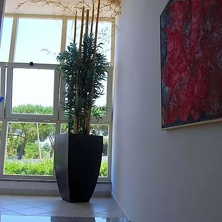 Telma تيراتشينا